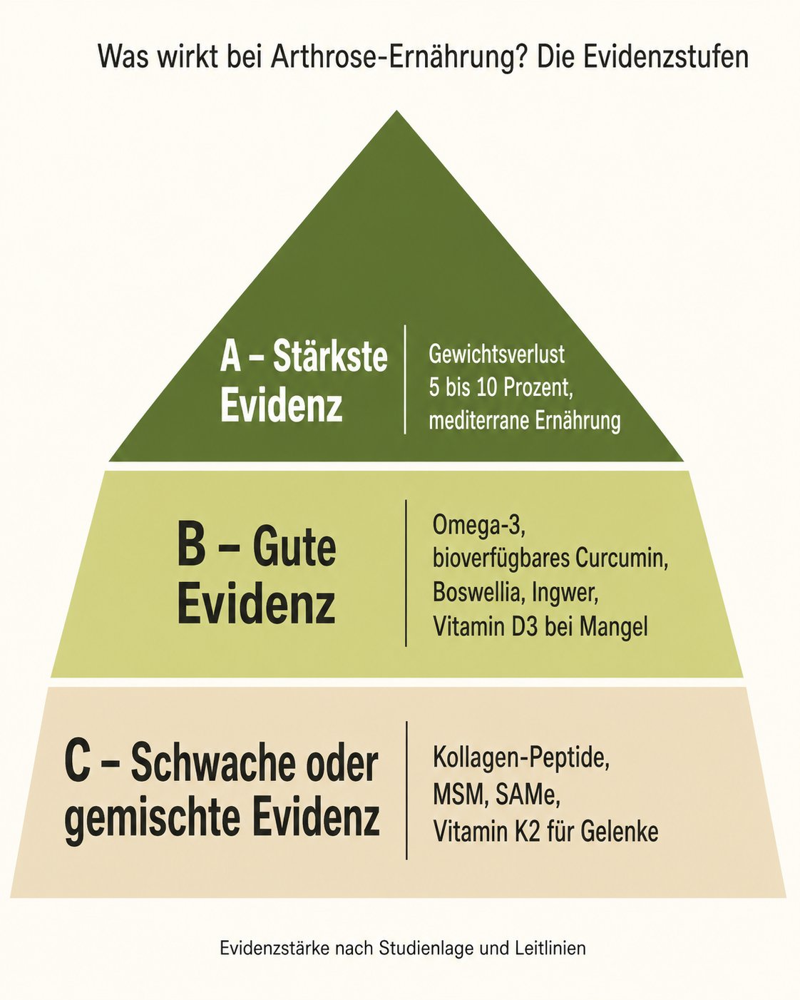 Evidenz-Pyramide der Arthrose-Ernährung
